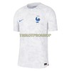 Original Fußballtrikot Frankreich Auswärtstrikot WM 2022 Für Herren